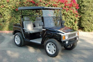 affordable golf cart rental, golf cart rent maryland