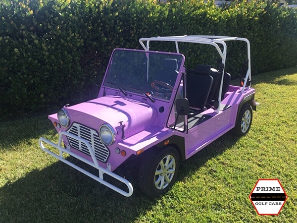 affordable golf cart rental, golf cart rent maryland